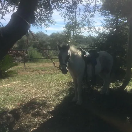 Apartmán Gusto E Benessere Nel Bosco Sacrofano